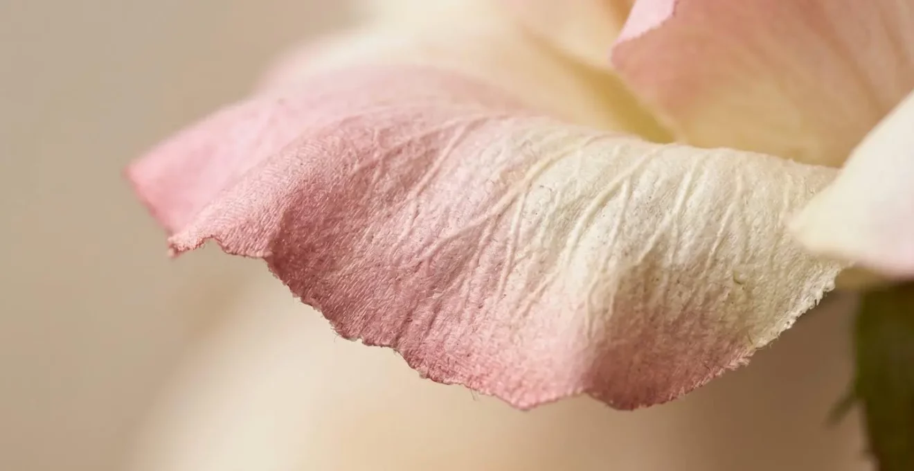 Gros plan détaillé sur les pétales d'une fleur artificielle haut de gamme montrant les textures réalistes